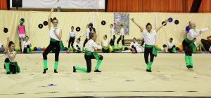 IMG 4313 (2)